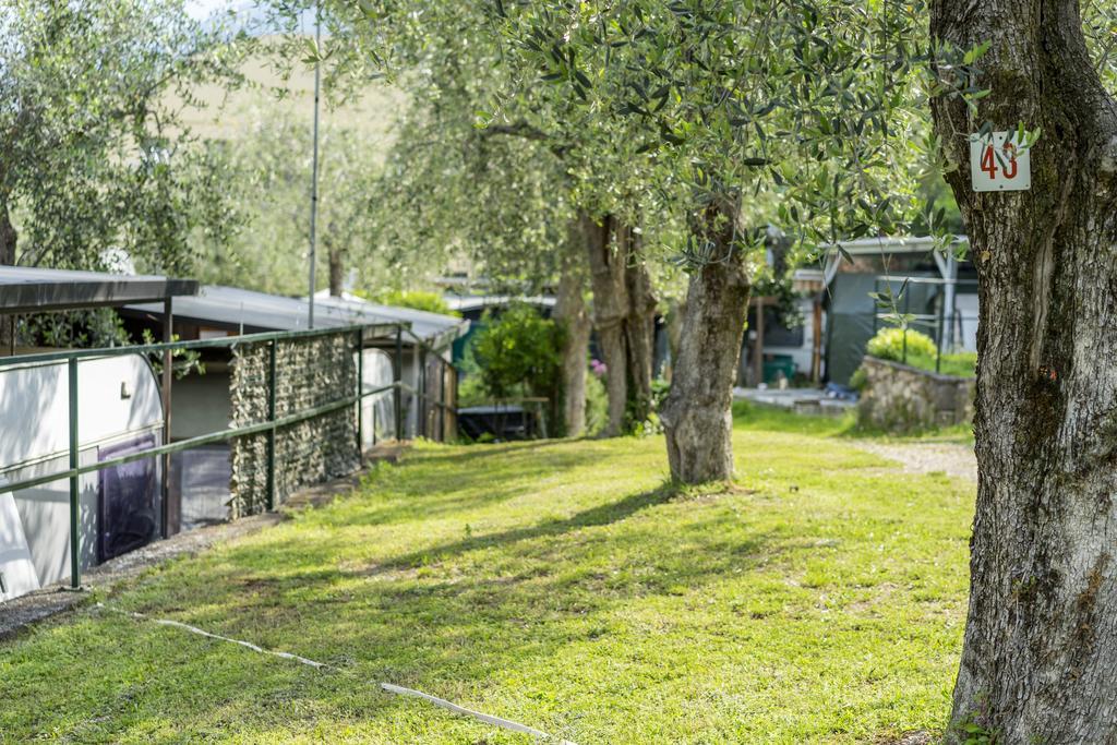 Monja Camping Village برنزوني سول جاردا المظهر الخارجي الصورة
