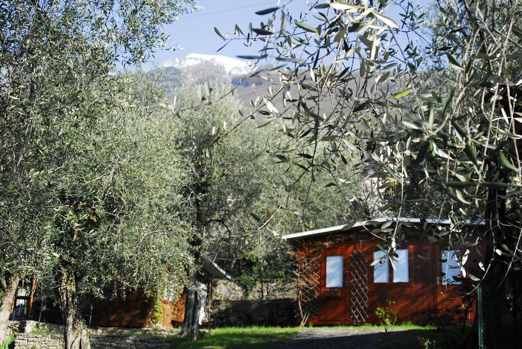 Monja Camping Village برنزوني سول جاردا المظهر الخارجي الصورة