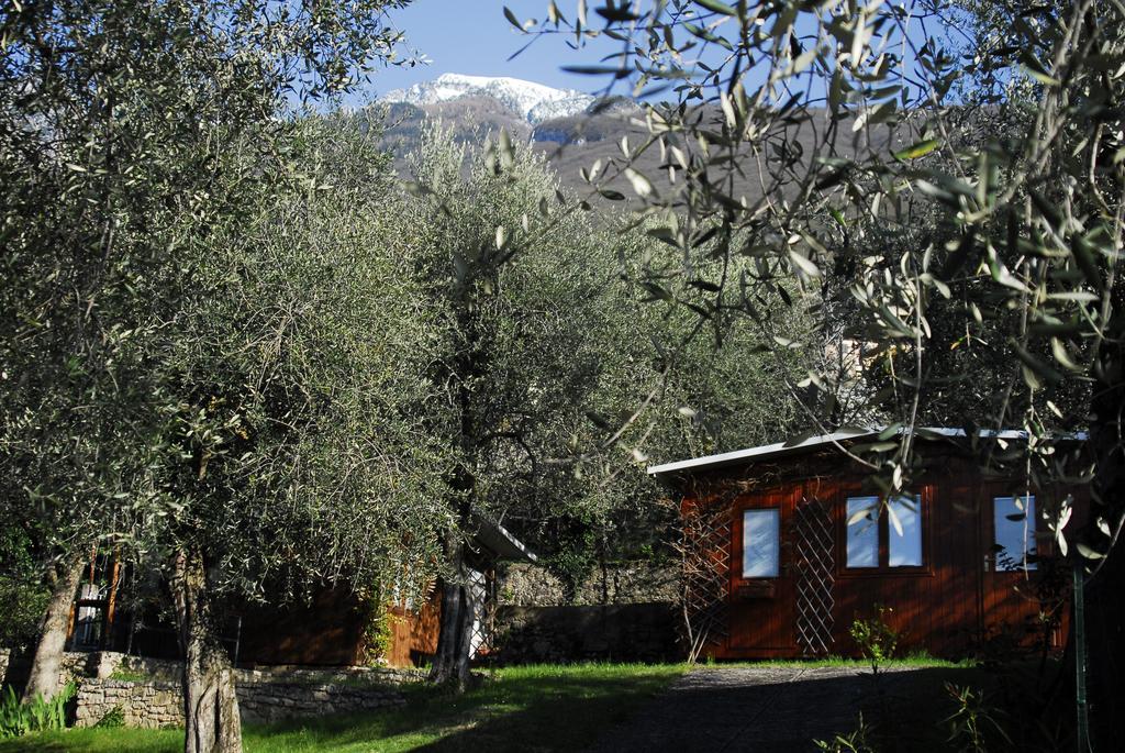 Monja Camping Village برنزوني سول جاردا المظهر الخارجي الصورة